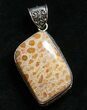 Large Fossil Coral Pendant #8518-1